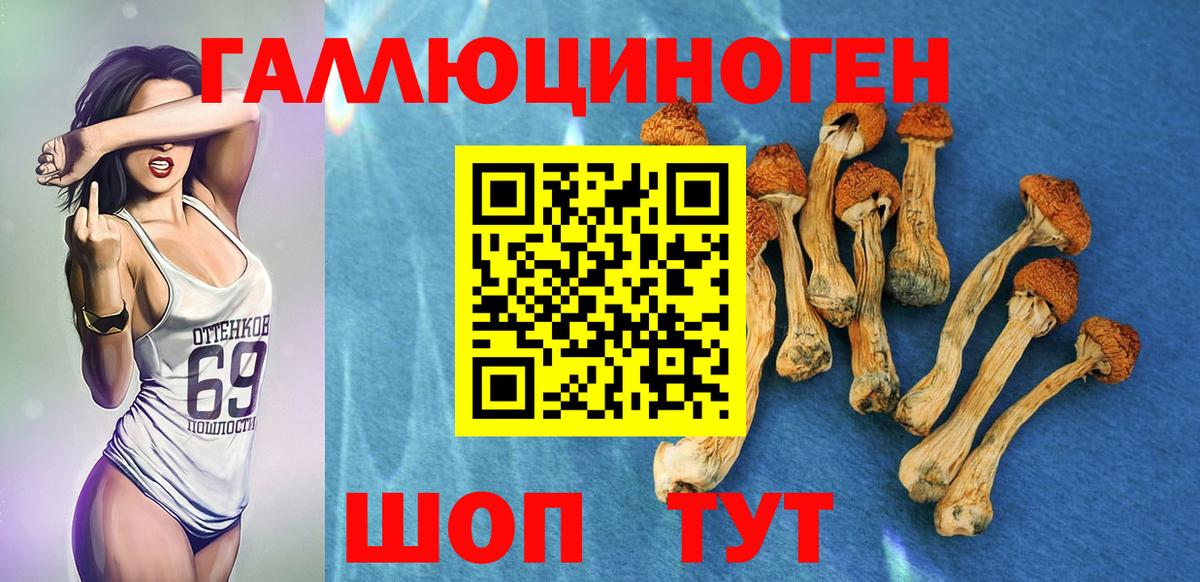 Псилоцибиновые грибы Psilocybe  хочу   Кумертау  Вход с VPN  Псилоцибиновые грибы мухоморы 